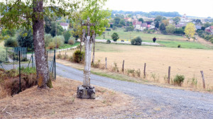 Rouvres, Calvary (S)