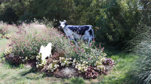 Saulxures, jardin (S)