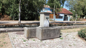 Saulxures, fountain (S)