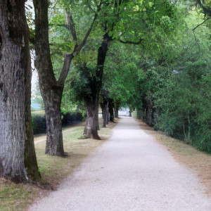 Sion, allée (S)