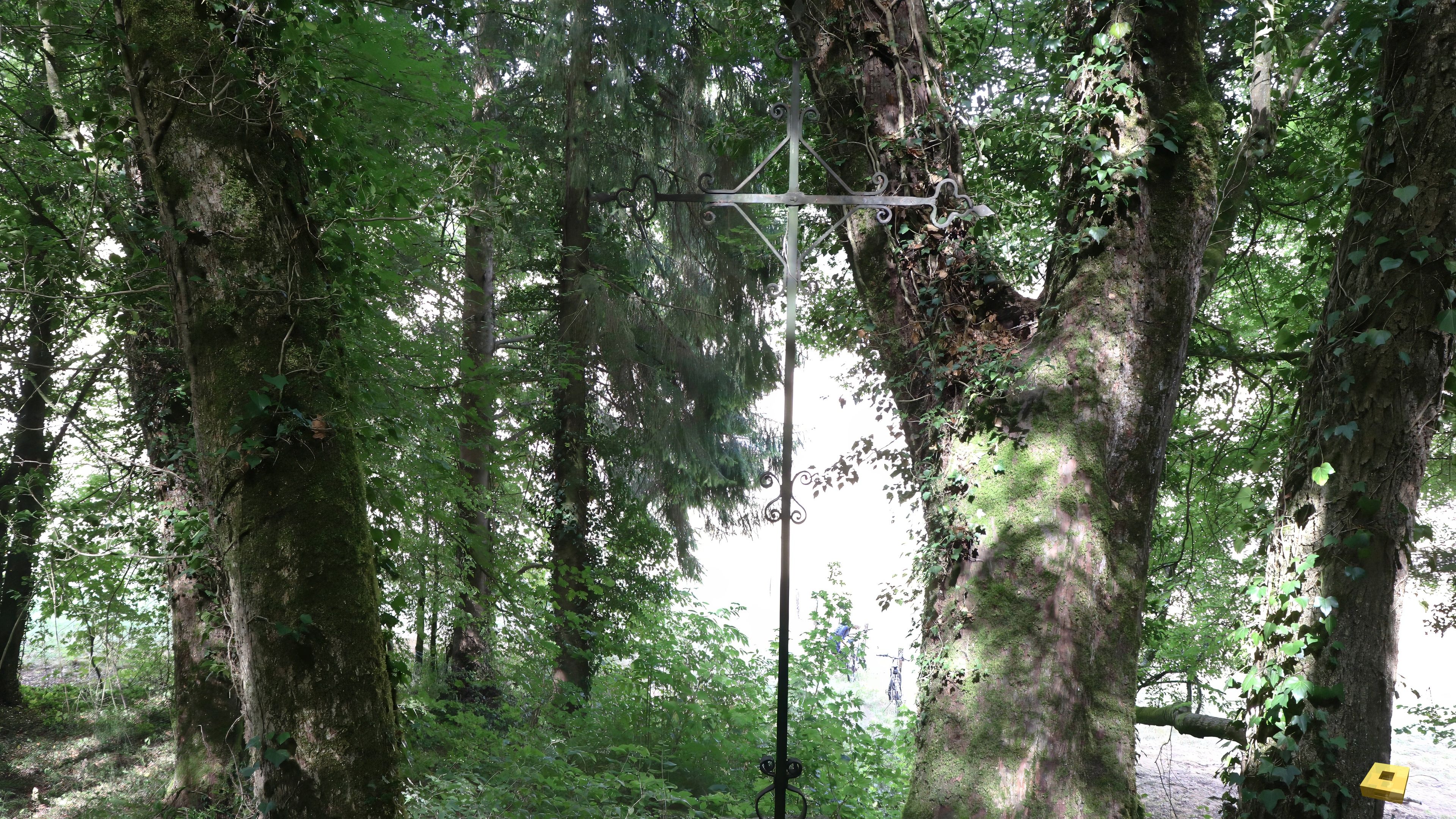 Sionne, cross (I)