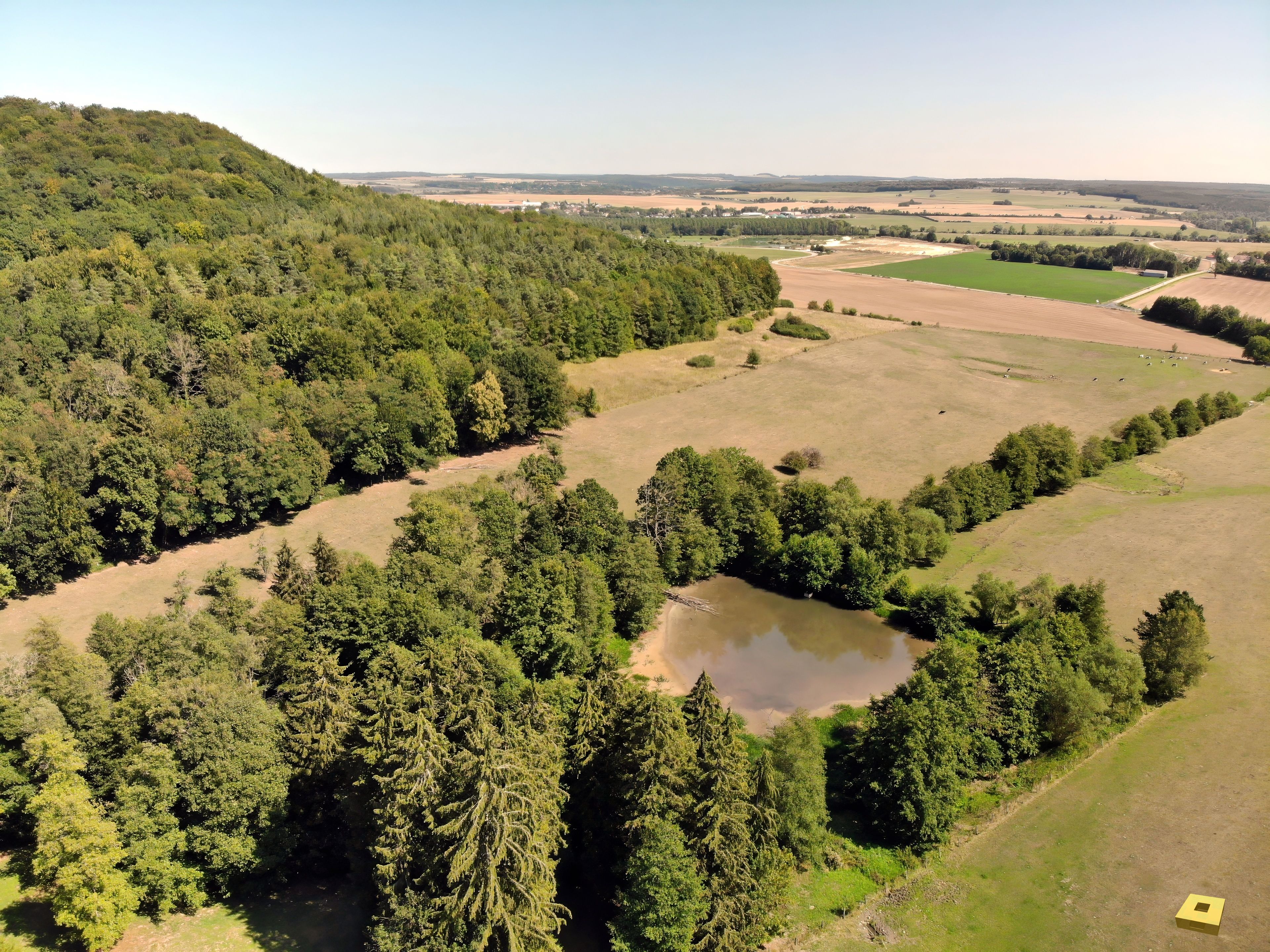 Sionne, carrière (I)
