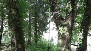 Sionne, cross (I)