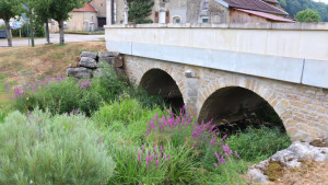 Tilleux, Brücke über Mouzon (S)