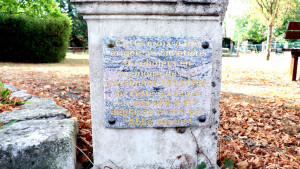Vaudeville, cross (I)