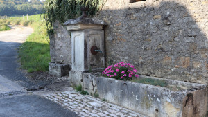 Vaudrecourt, fountain (S)