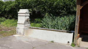Viocourt, fountain (S)