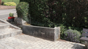 Viocourt, fountain (S)
