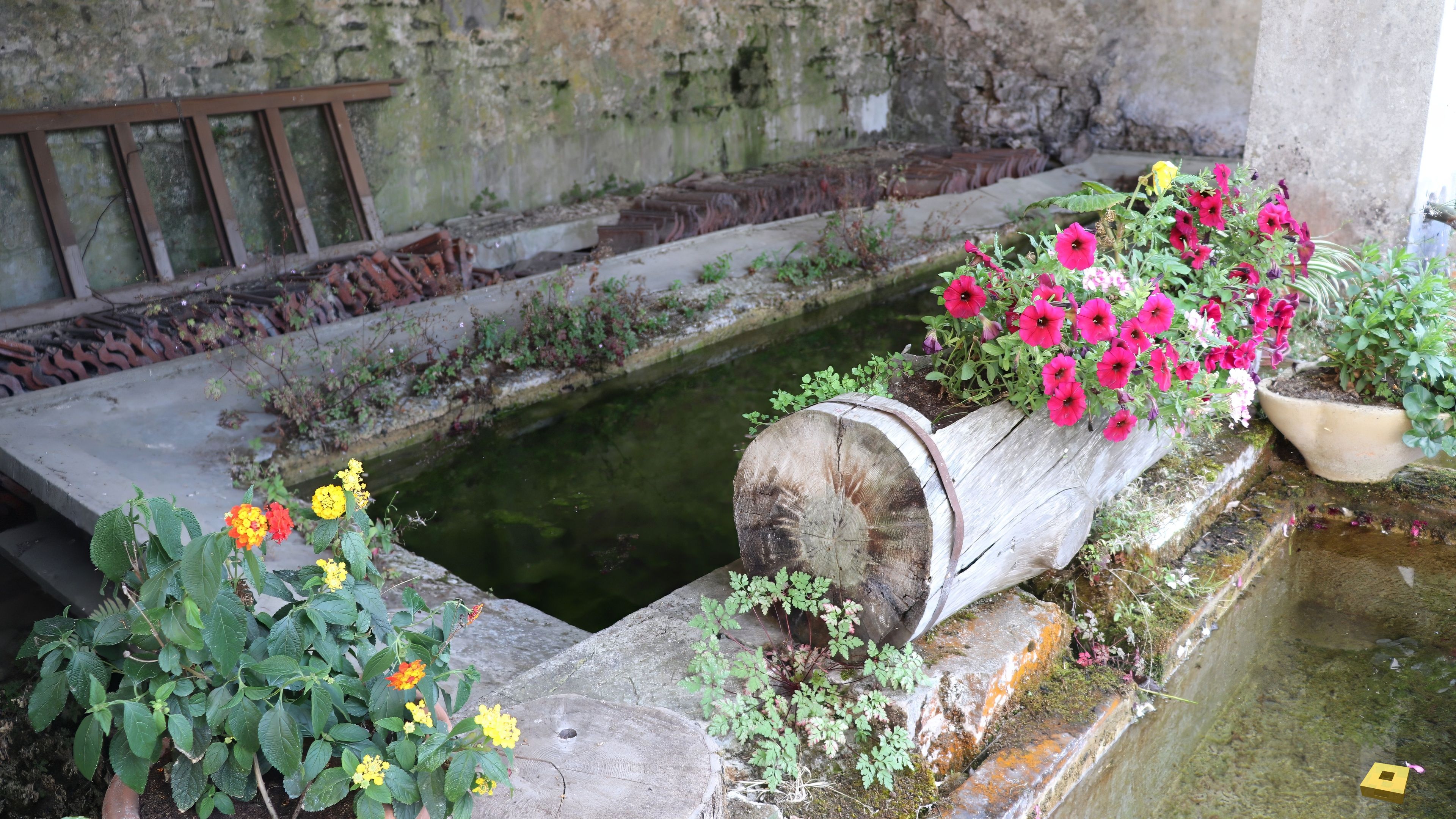 Vouxey, wash house (I)