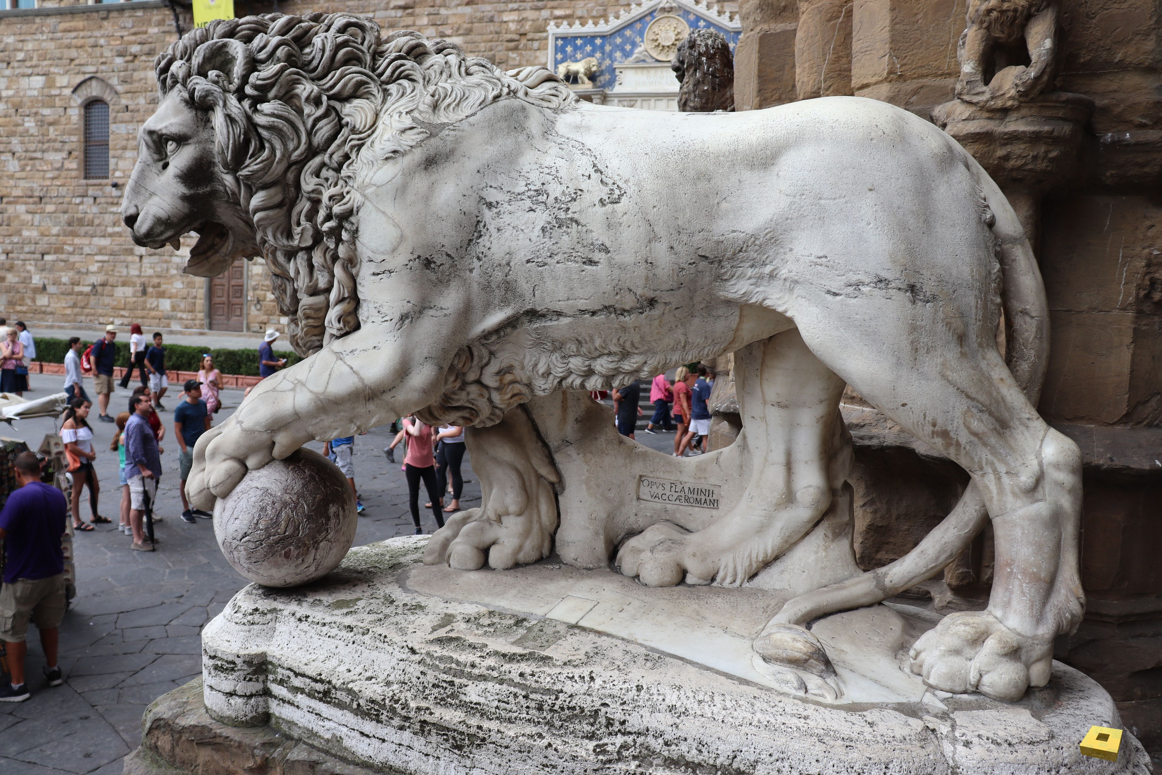 Florence, lion (I)