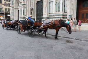 Florence, calèches pour touristes (I)