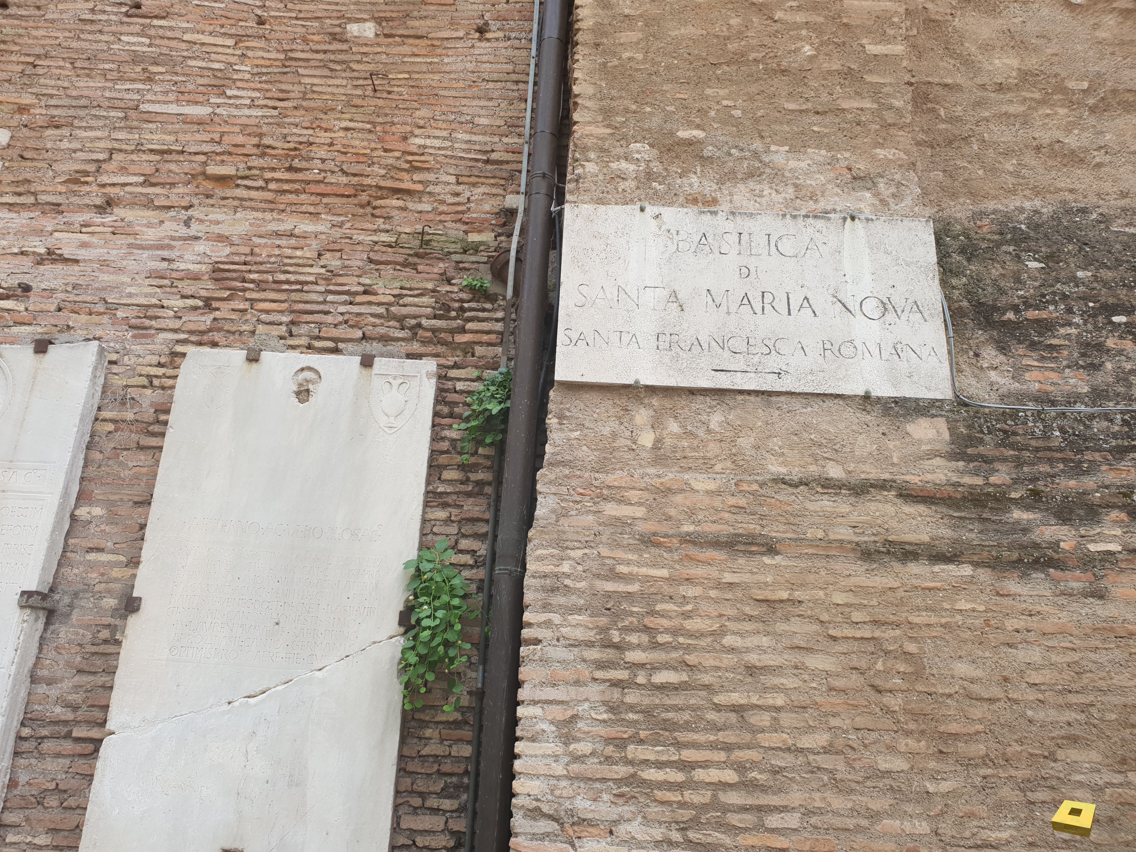 Rome, Palatinat (I)