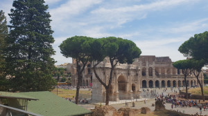 Rome, Palatinat (I)