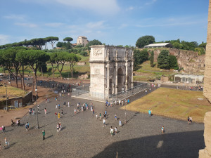 Rome, Palatinat (I)