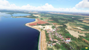 Le lac du Der (V)