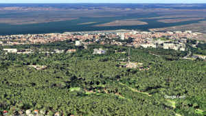 Le bassin d'Arcachon (V)
