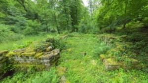 Liffol-le-Grand, Abbey (r)