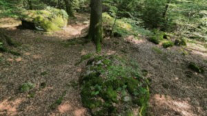 Relanges, oppidum (R)