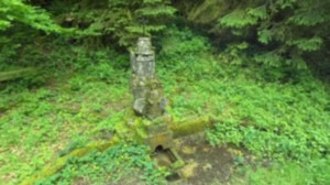 Beaufremont, source (r)