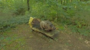 Rollainville, sculpture (r)