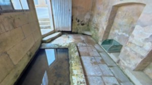 Domrémy, lavoir (R)