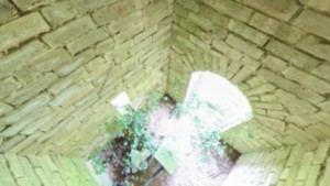Beaufremont, geodesic tower (r)