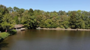Grignoncourt, der See (S)