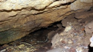 Grotte 1000 diaclases (S)