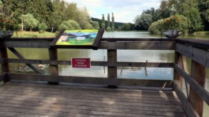 Midrevaux, Teich (S)