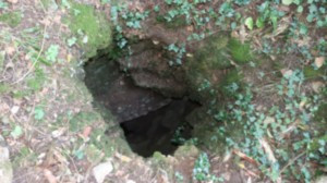 Gouffre du Trou moutarde (S)