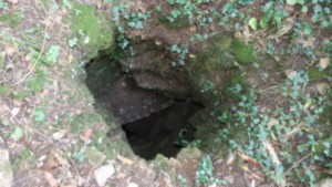 Gouffre du Trou moutarde (S)