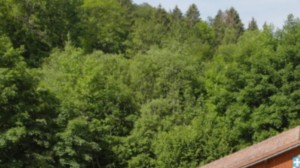 Liffol-le-Grand, Vergeres (S)