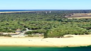Arcachon Cap Ferret (I)